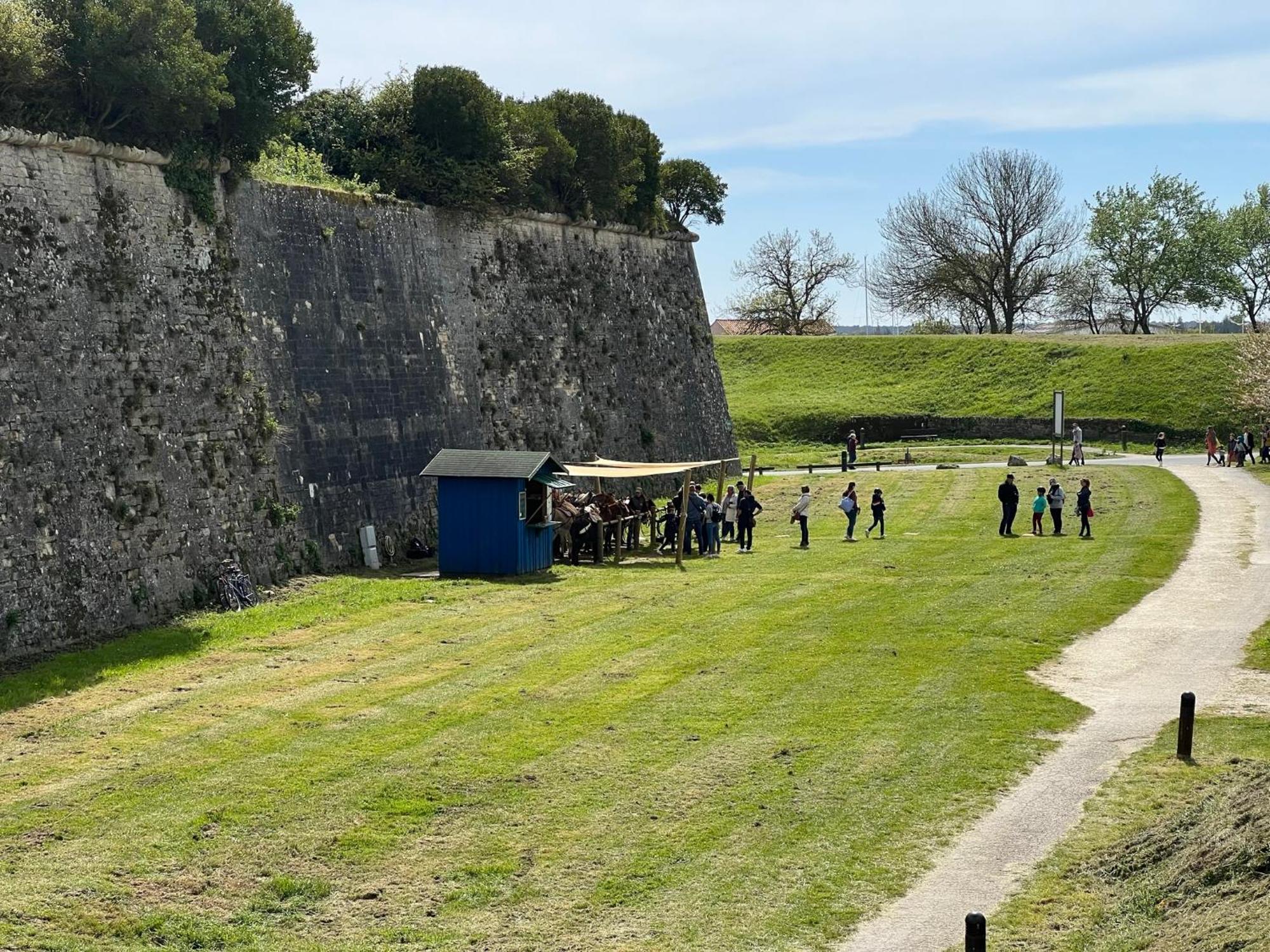 Les Amareyeurs - Ile D'Oleron - Maison Classee 3 Etoiles Avec Piscine - Clim - Velos Le Château-dʼOléron Exterior foto